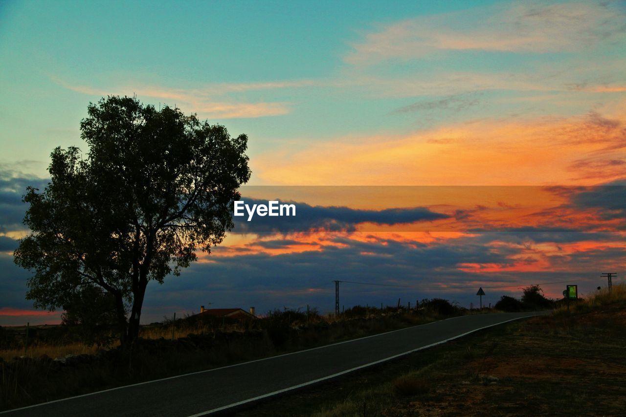 TREE AGAINST SKY AT SUNSET