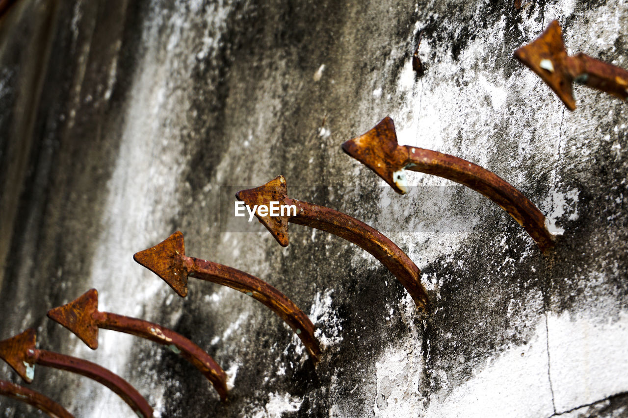 CLOSE-UP OF RUSTY SNOW