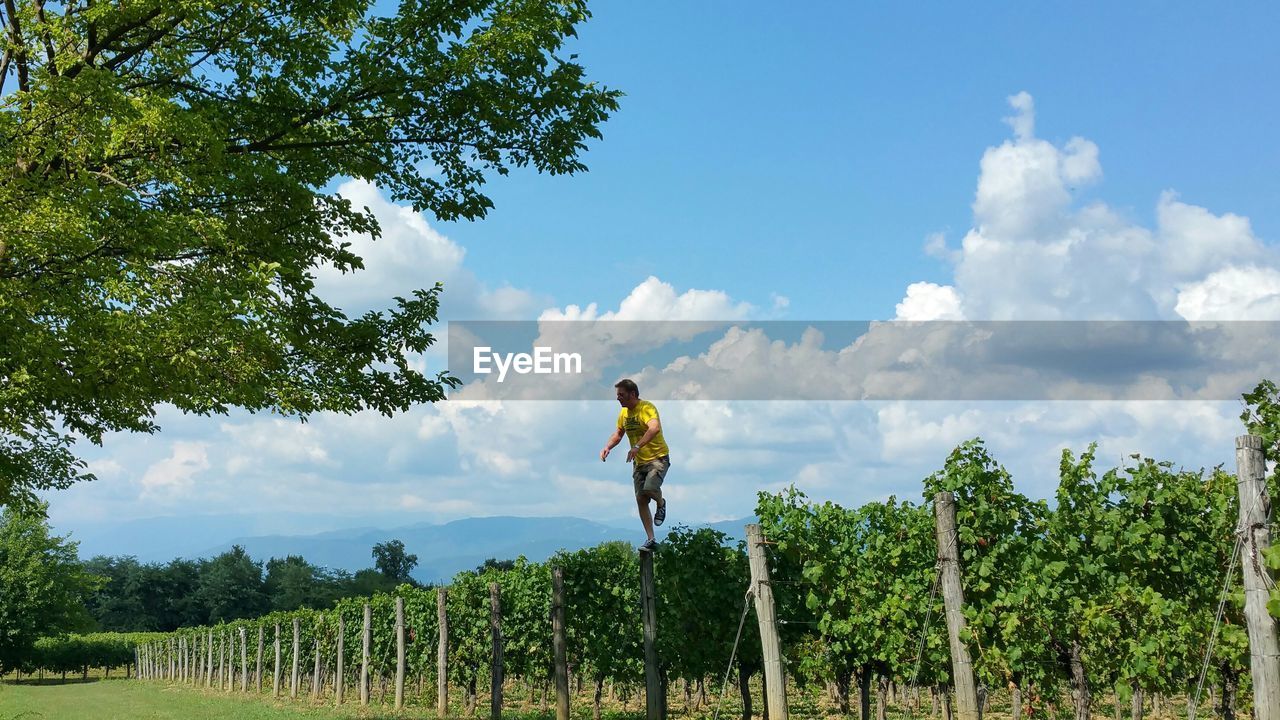 Man standing on wooden post by vineyard against cloudy sky