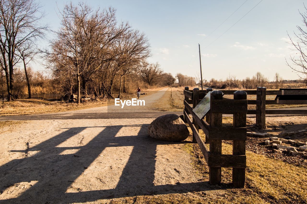 sunlight, tree, nature, shadow, sky, road, bare tree, plant, rural area, landscape, no people, transportation, morning, day, winter, sunny, outdoors, autumn, tranquility, fence, scenics - nature, environment, tranquil scene