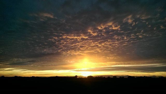 SUNSET OVER LANDSCAPE