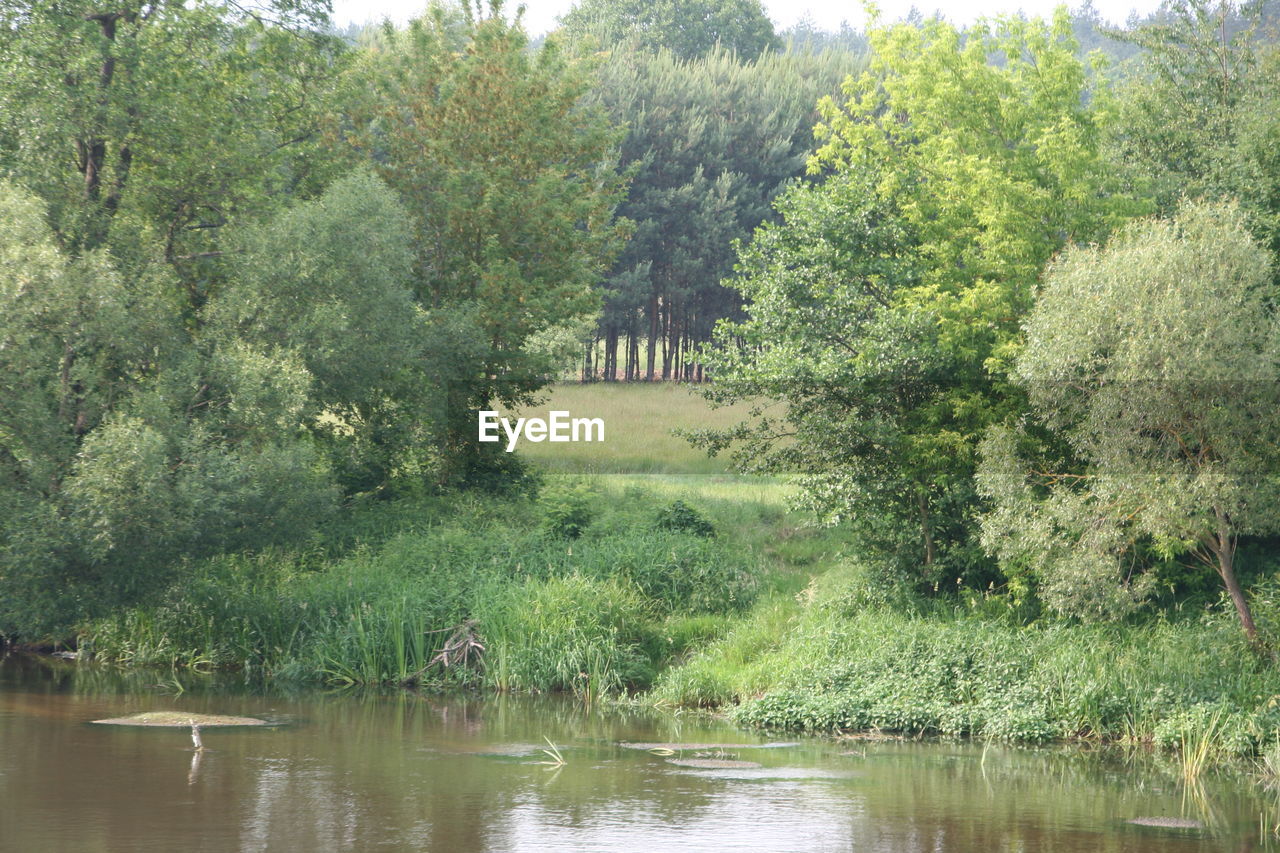 SCENIC VIEW OF LAKE