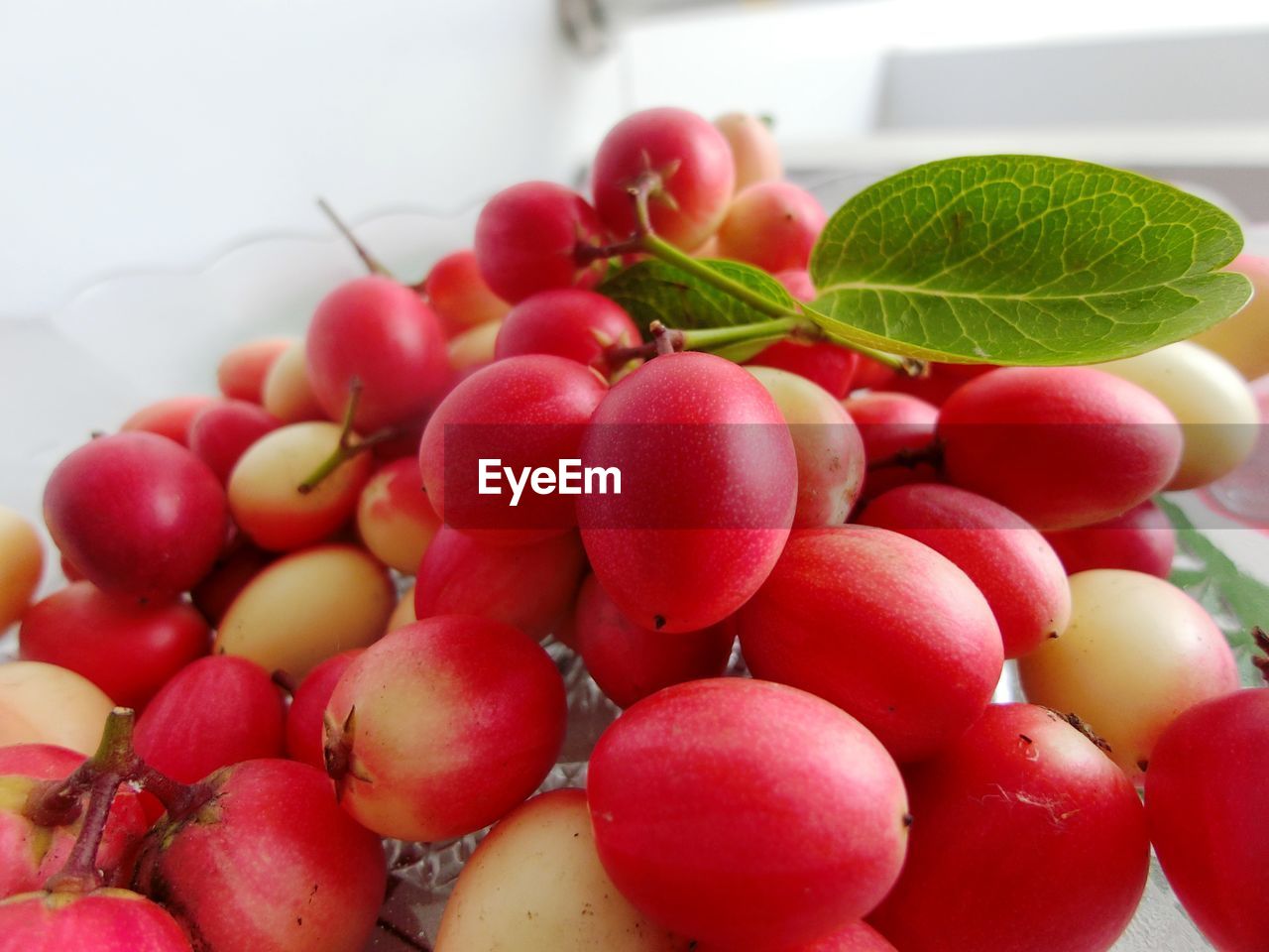 CLOSE-UP OF RED CHERRIES