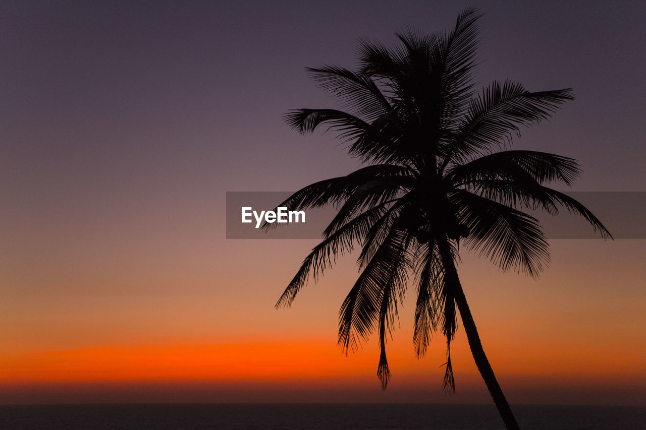 Silhouette palm tree against sky at sunset