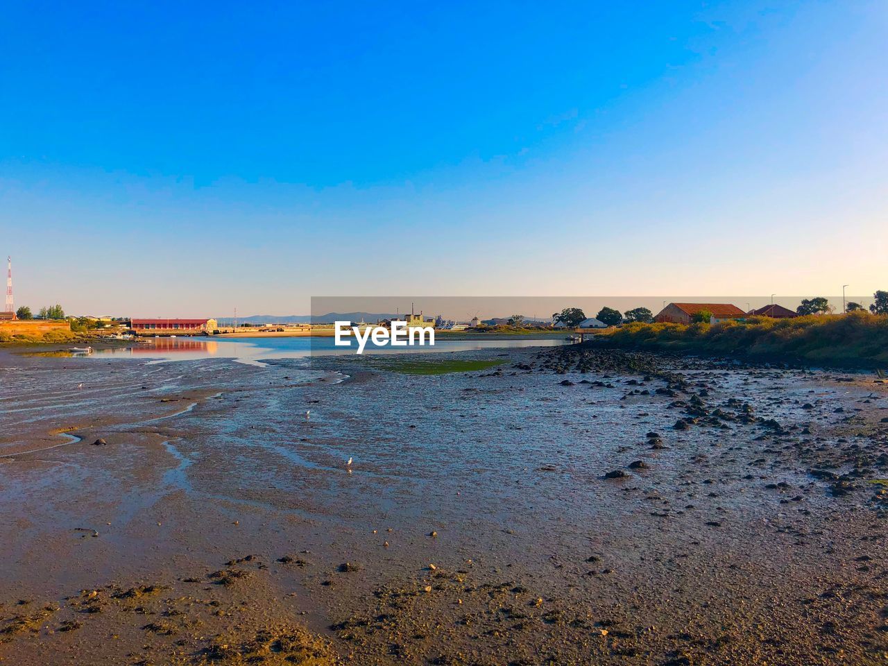 Scenic view of beach against clear blue sky during sunset