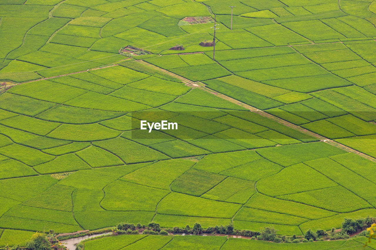High angle view of agricultural field
