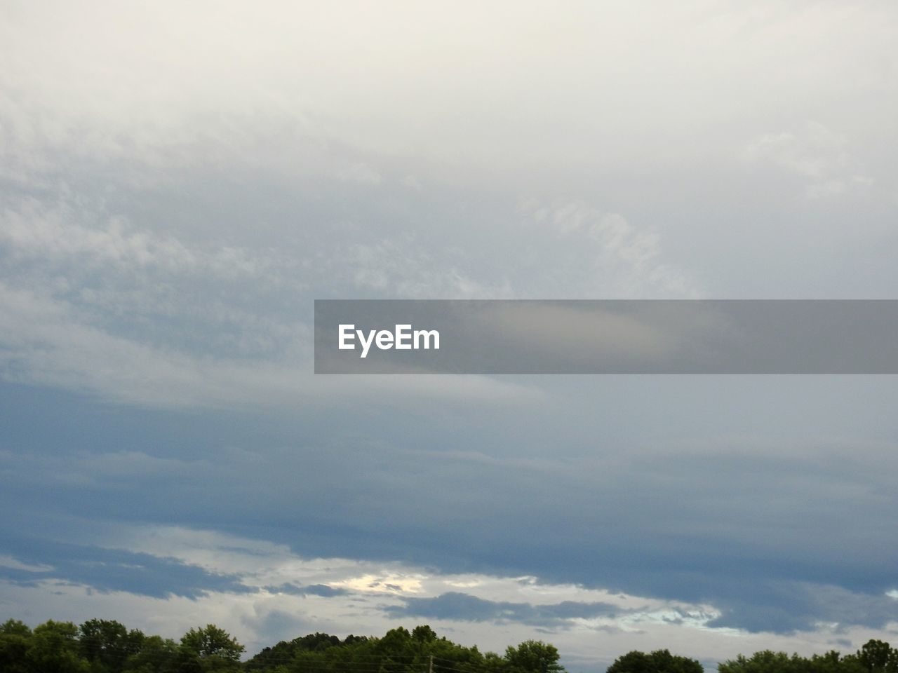 TREES AGAINST CLOUDY SKY