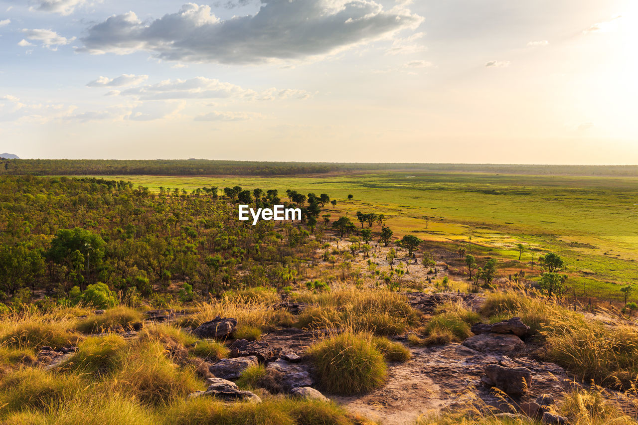 SCENIC VIEW OF LAND AGAINST SKY DURING SUNSET