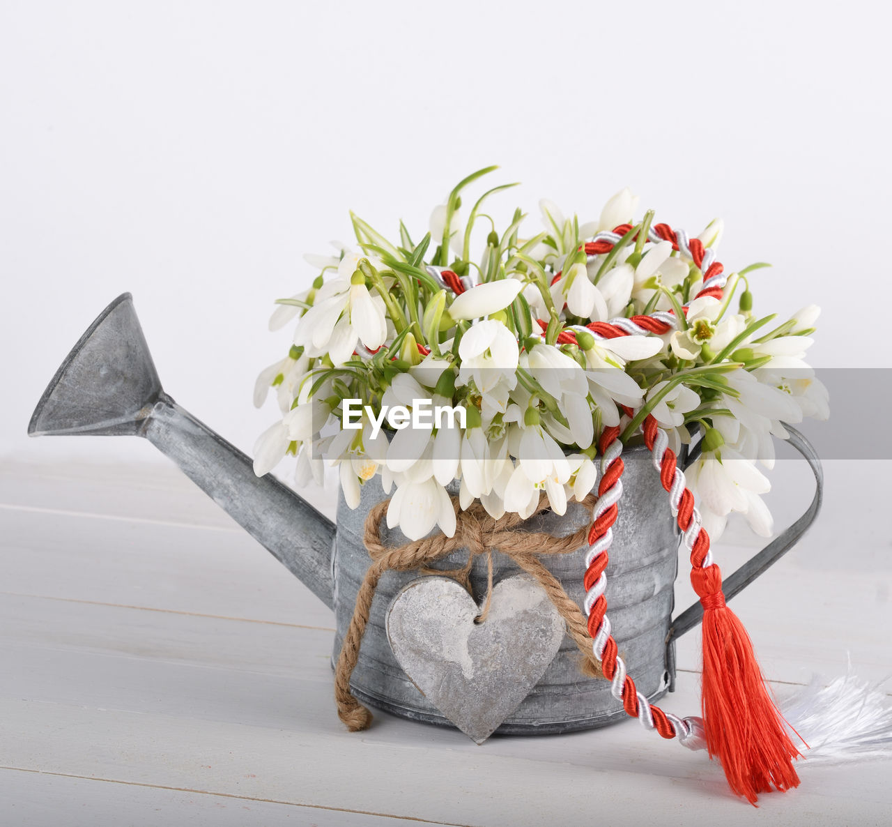 CLOSE-UP OF WHITE FLOWERING PLANT ON TABLE