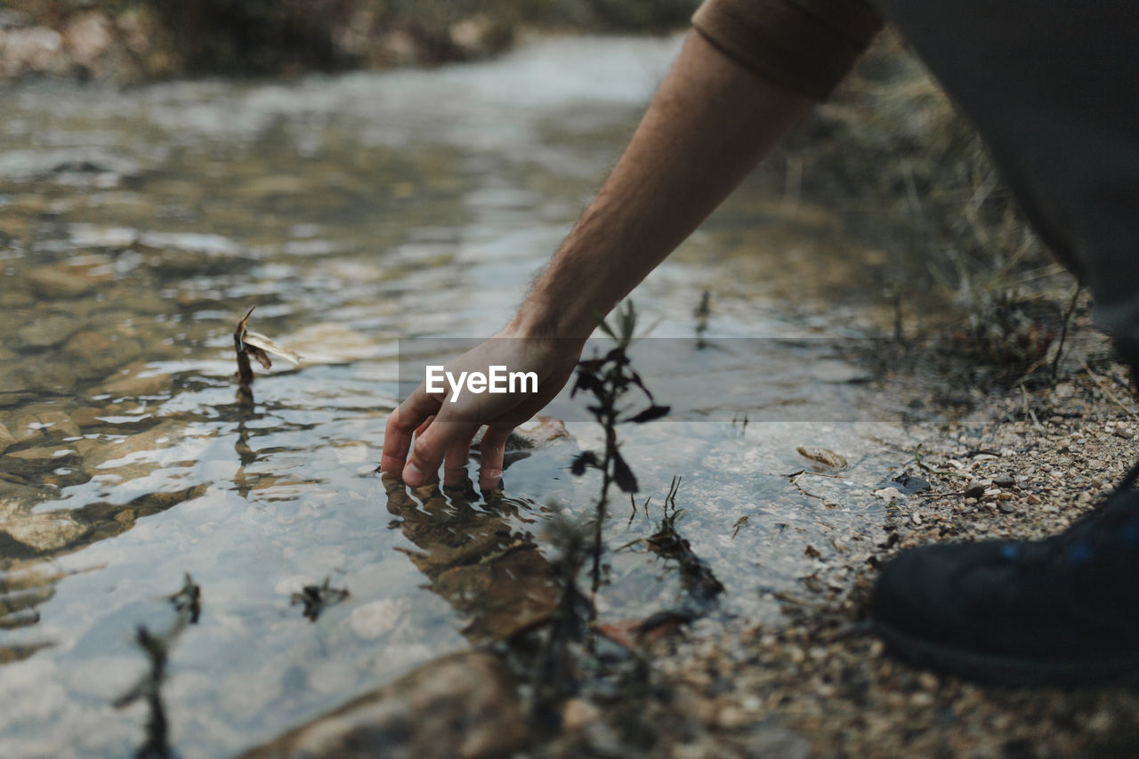 Side view of crop anonymous male traveler putting hand into clean water of shallow creek while resting after hiking in nature