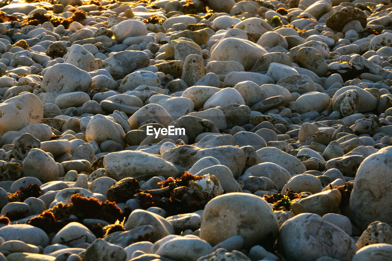 High angle view of rocks on beach