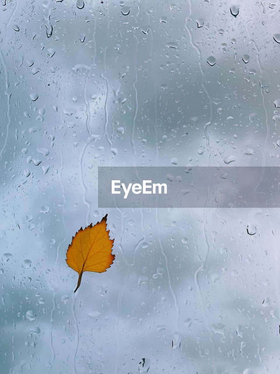 CLOSE-UP OF RAINDROPS ON GLASS WINDOW