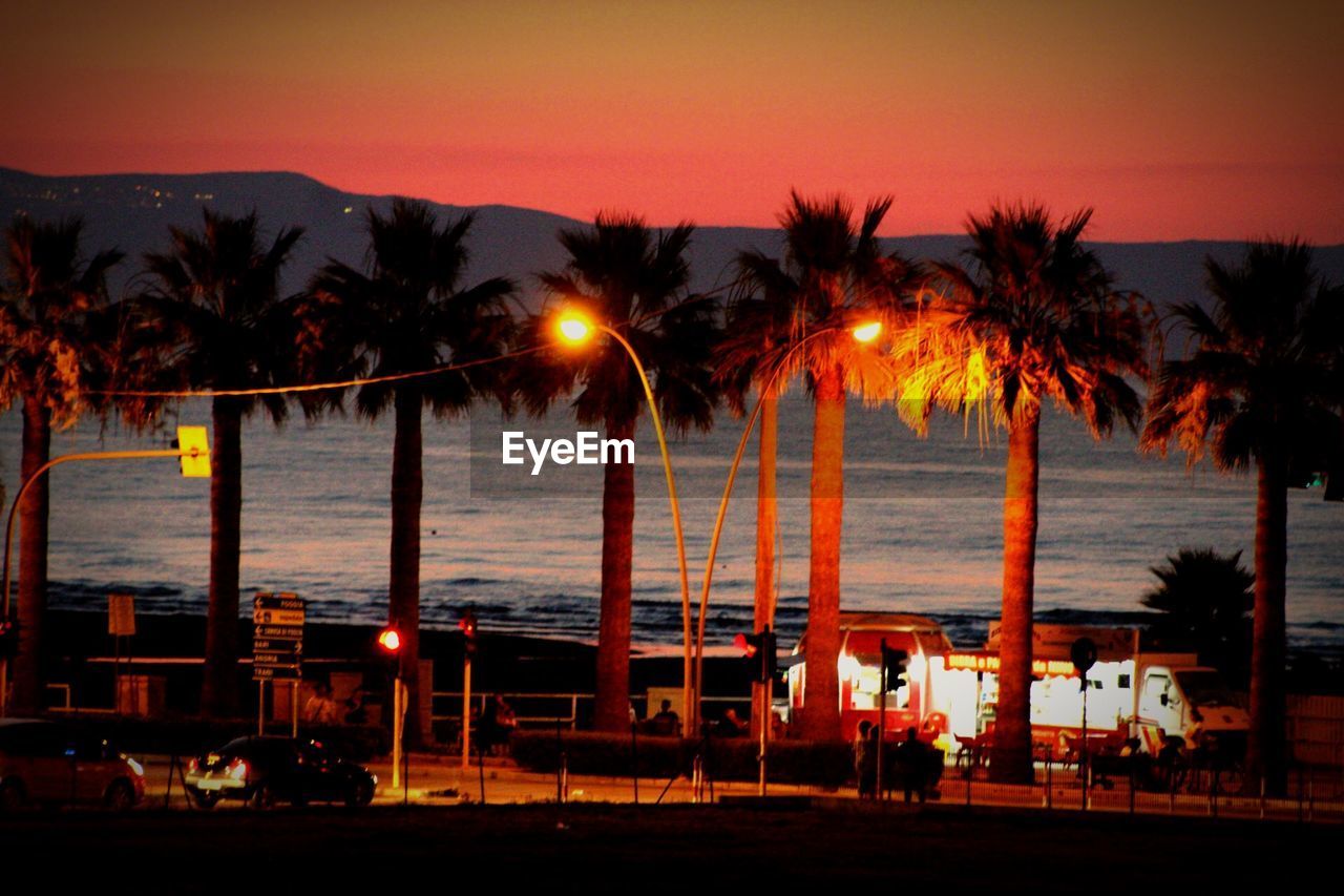 PALM TREES ON BEACH DURING SUNSET