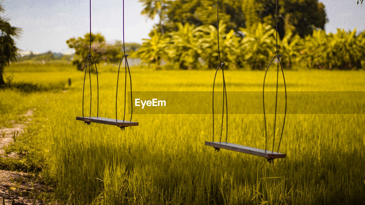 Empty swings over grassy field against trees