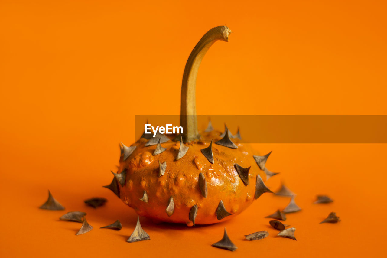 Close-up of orange pumpkin with spins on orange background