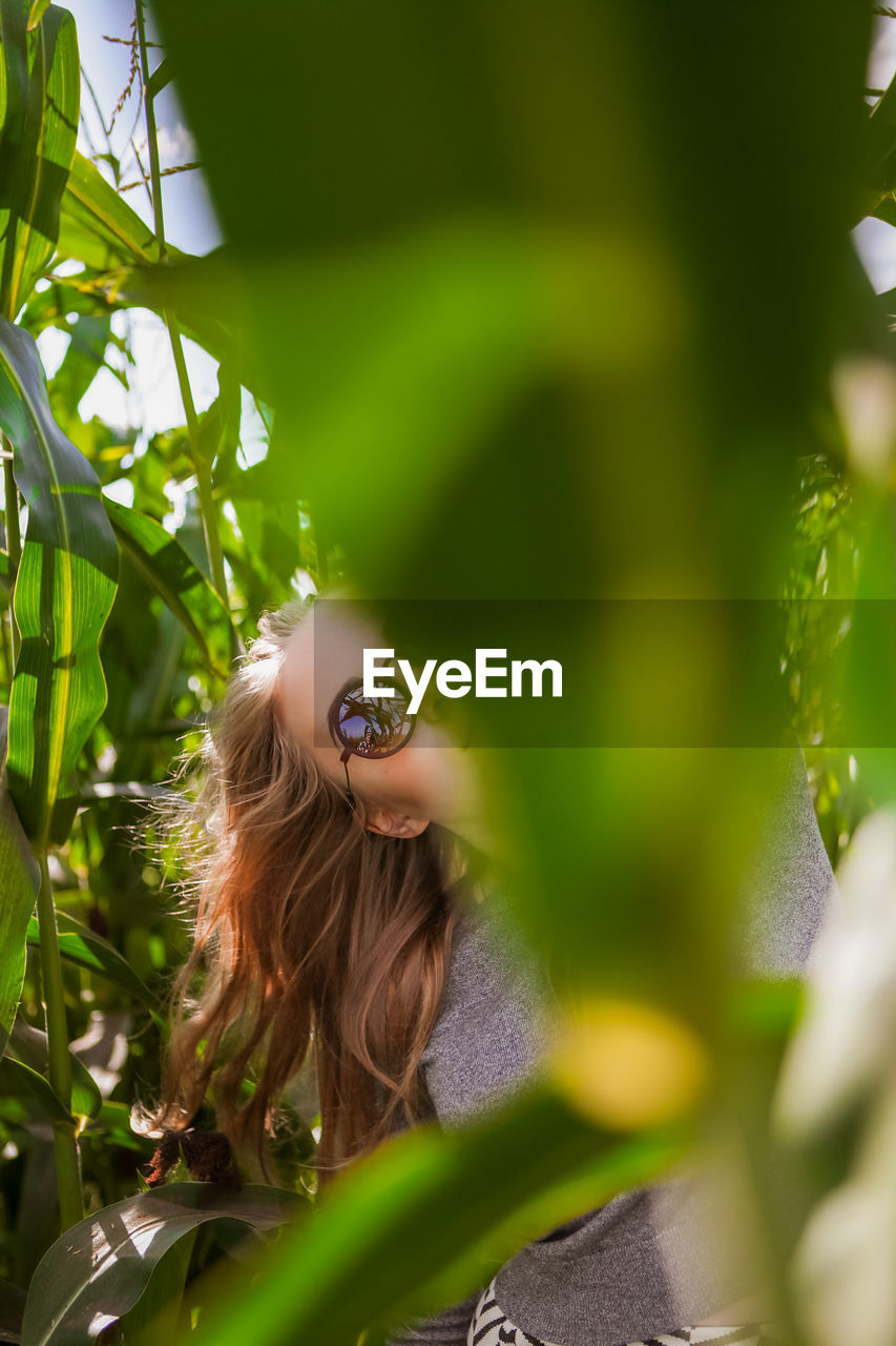 Beautiful young woman in a corn field