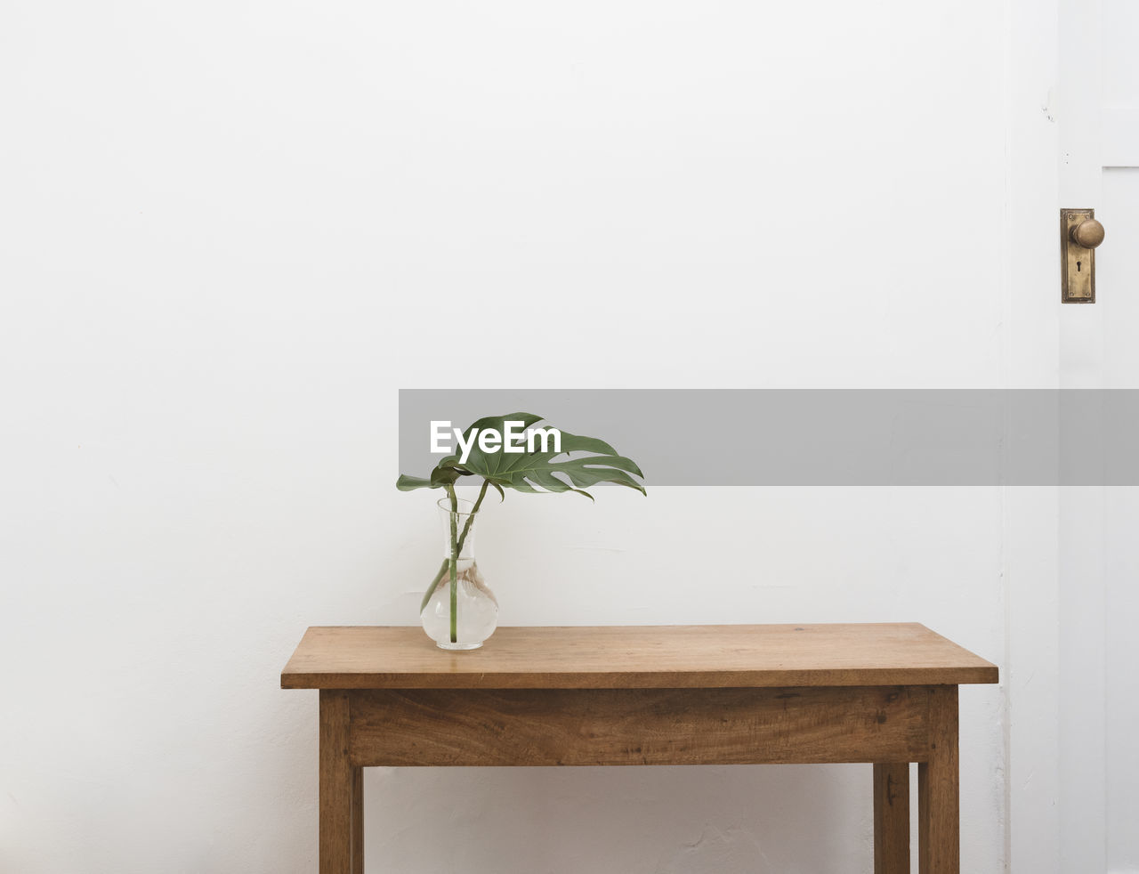 Monstera plant leaves in glass vase on oak wooden table against white wall next to door