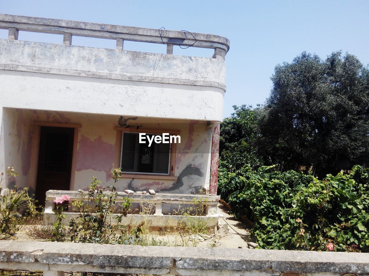 LOW ANGLE VIEW OF BUILT STRUCTURE AGAINST PLANTS