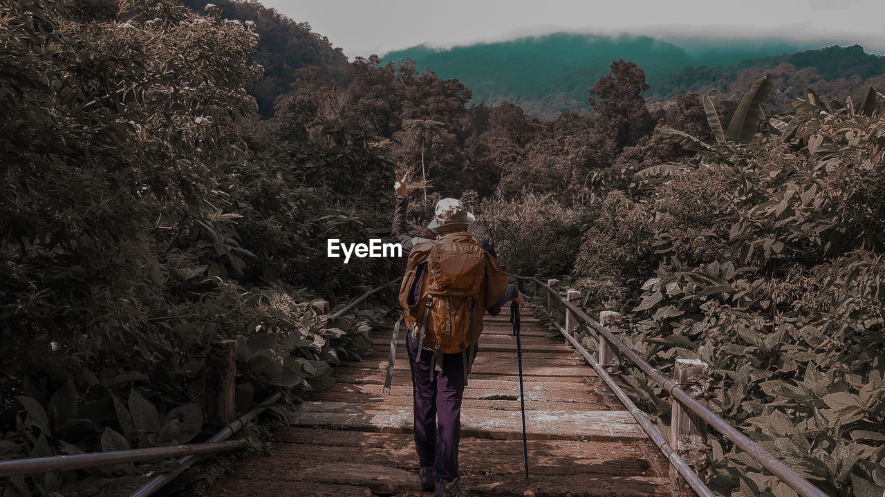 Rear view of woman walking on boardwalk amidst trees