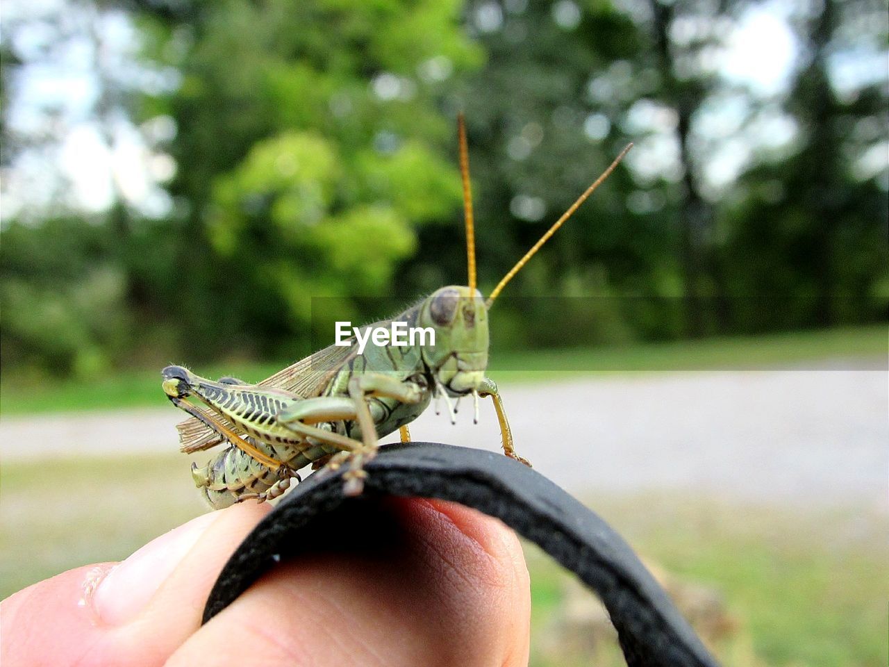 CLOSE-UP OF HAND HOLDING BUTTERFLY