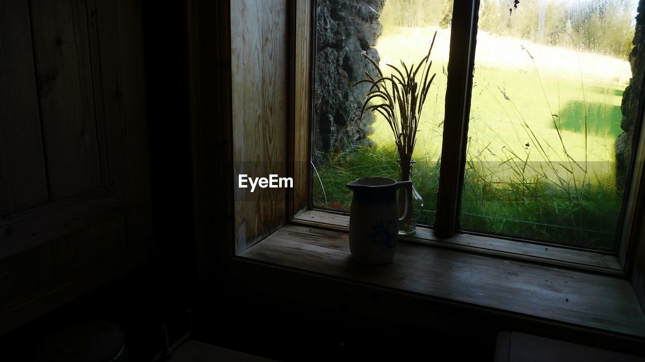 PLANTS ON WINDOW SILL