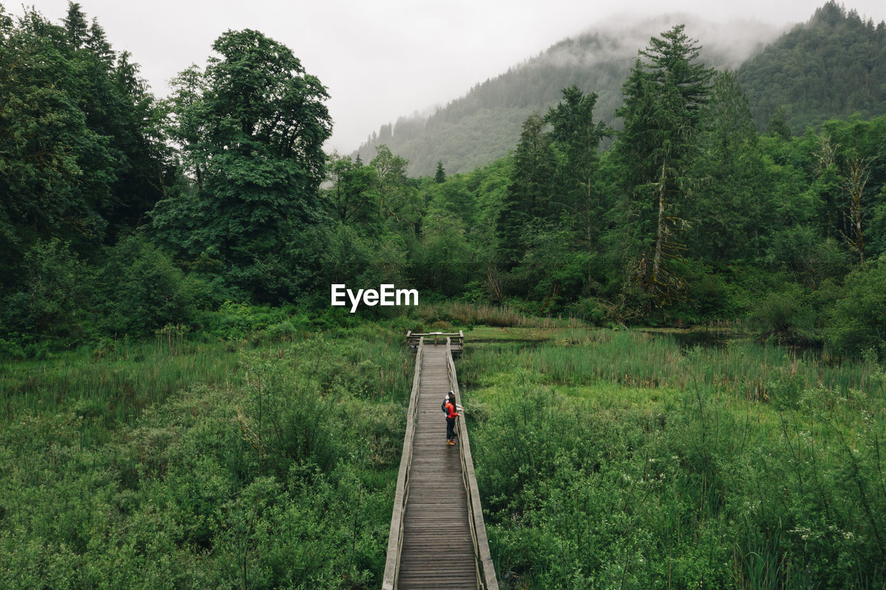 A young couple enjoys a hike on a boardwalk in the pacific northwest.