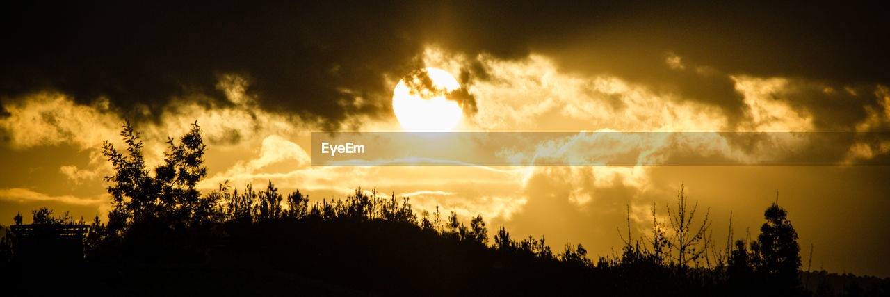 Silhouette trees against sky during sunset