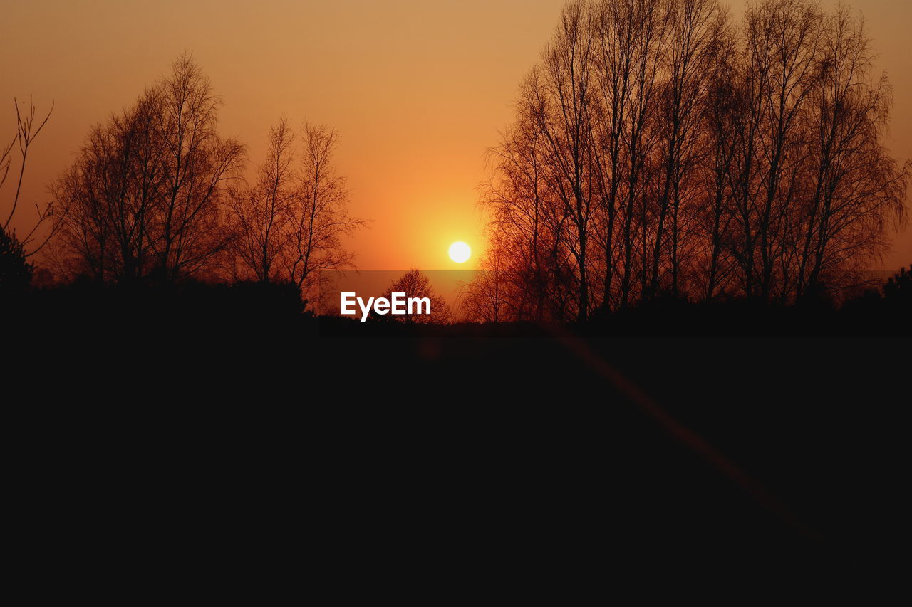 SILHOUETTE BARE TREES AGAINST ORANGE SKY