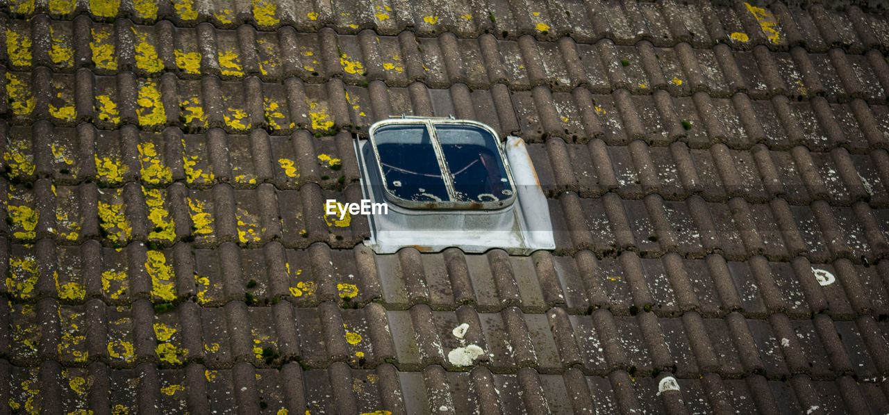 HIGH ANGLE VIEW OF TEXT ON GREEN ROOF