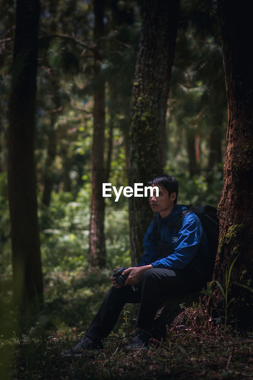 Young man looking away while sitting on tree trunk in forest