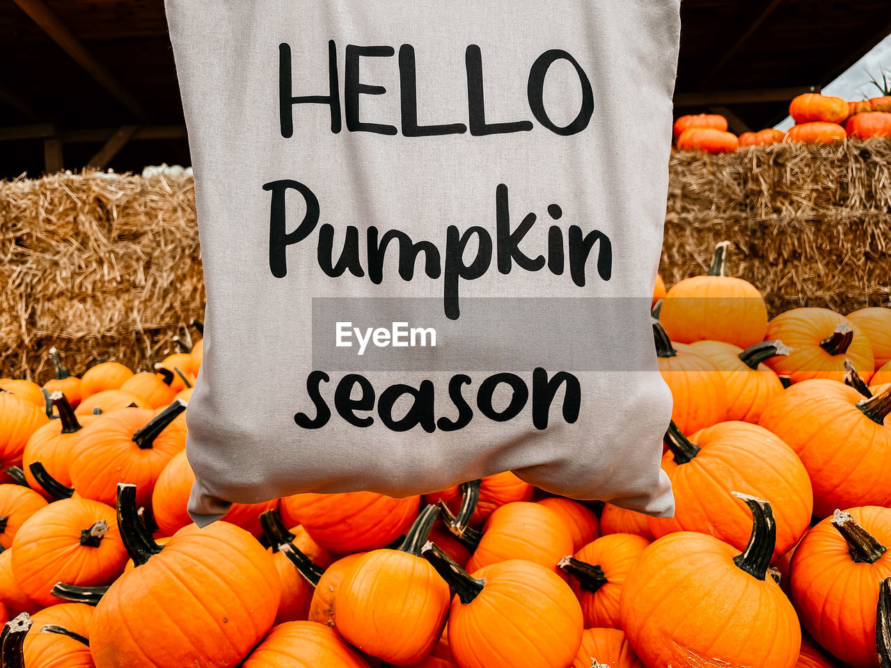 CLOSE-UP OF PUMPKINS FOR SALE