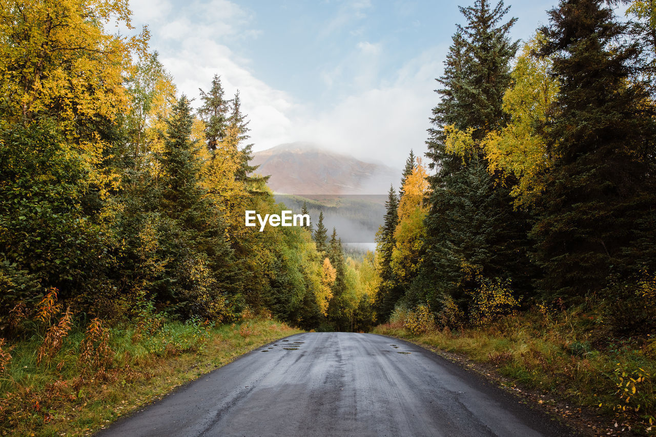 Autumn scene with road in mountains