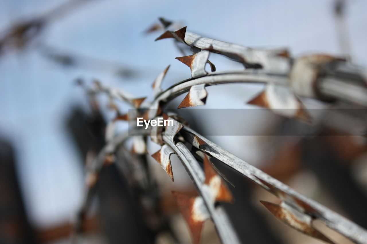 Close-up of metal razor wire