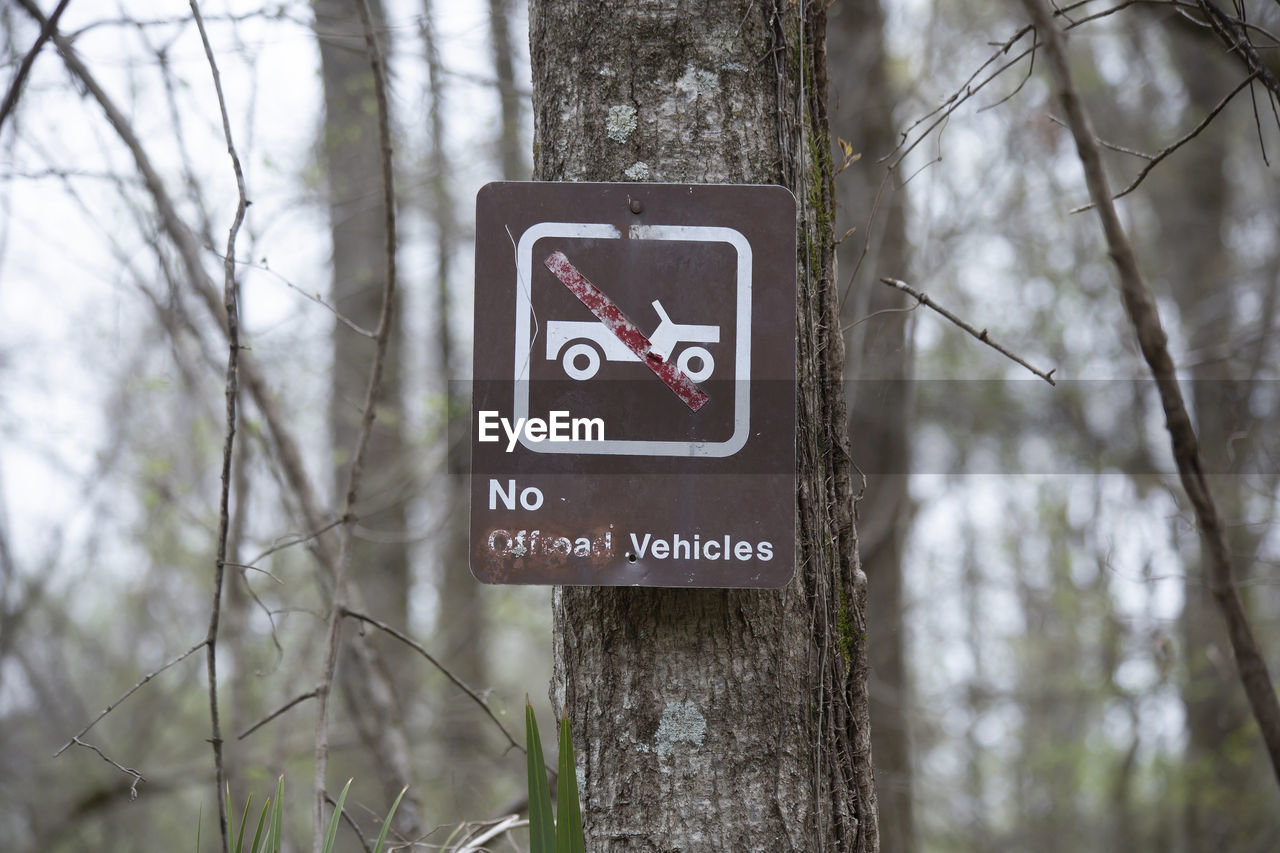 close-up of information sign on tree