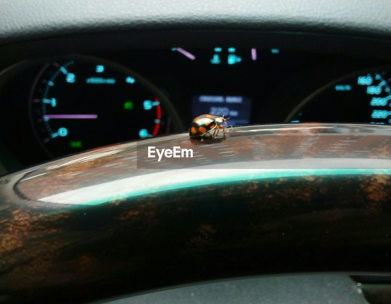 CLOSE-UP OF ILLUMINATED CAR ON GLASS