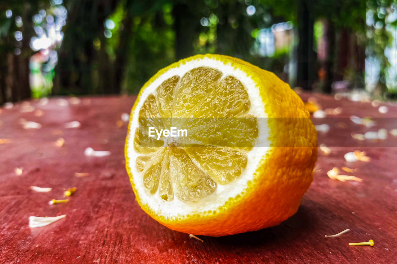 Close-up of lemon slice on table