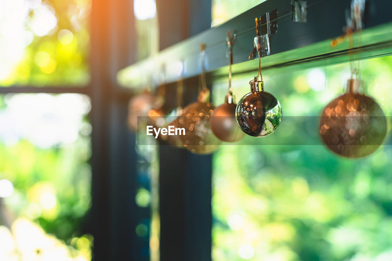 hanging, green, no people, focus on foreground, selective focus, nature, day, food and drink, sunlight, outdoors, decoration, close-up, food, light, holiday, window