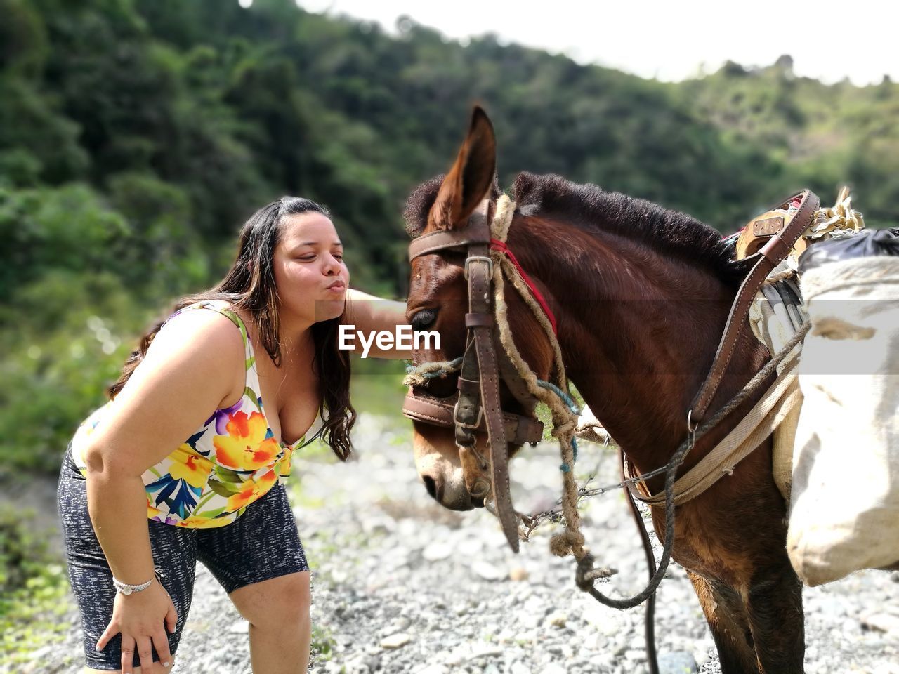 Woman puckering in front of donkey on sunny day