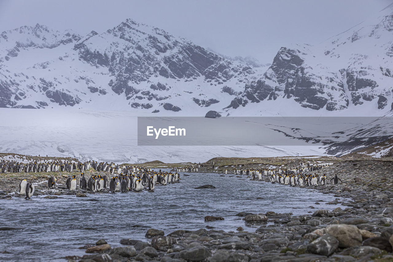 SCENIC VIEW OF SNOWCAPPED MOUNTAIN AGAINST SKY DURING WINTER