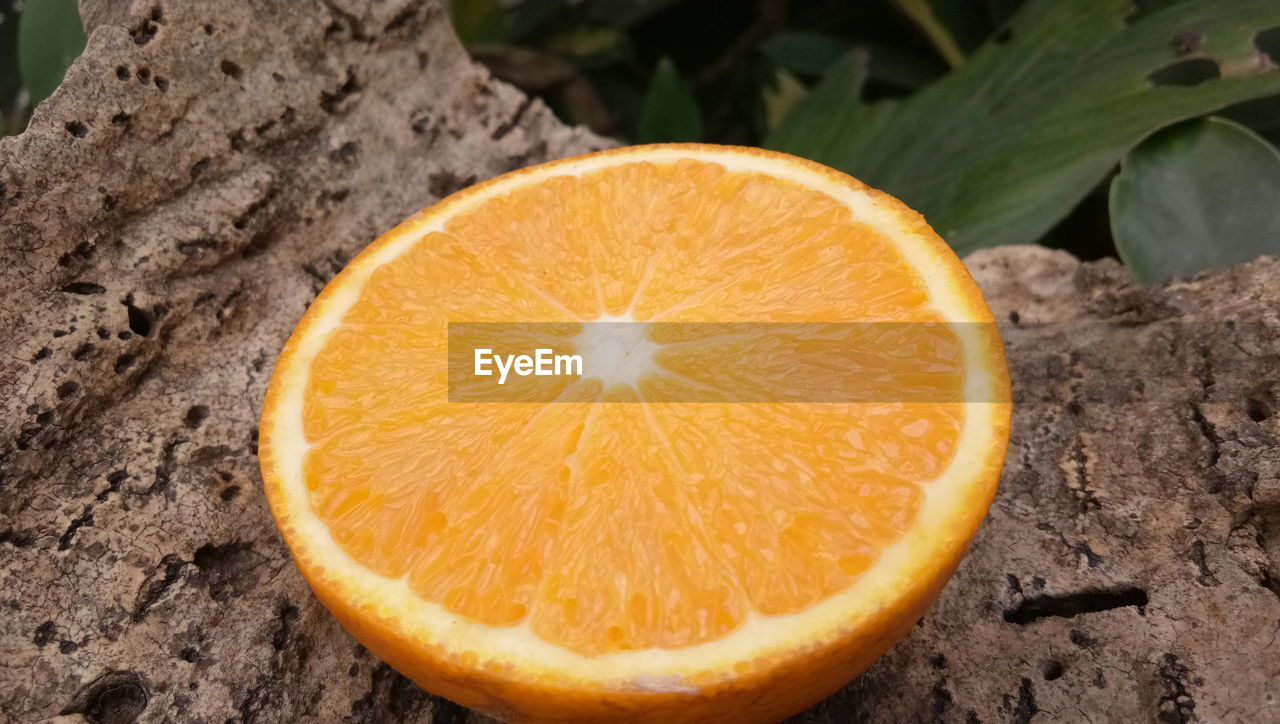 High angle view of orange slice