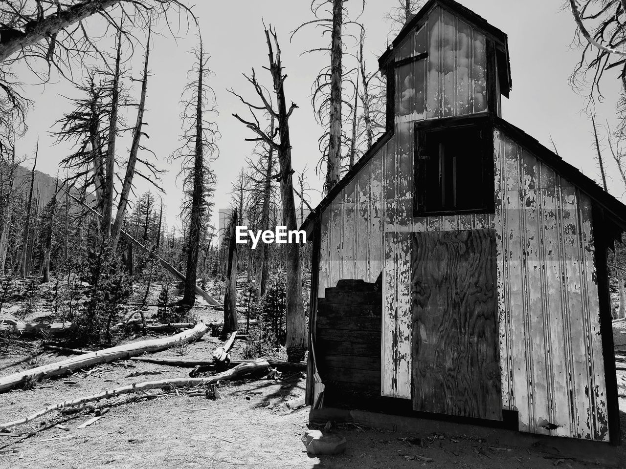 ABANDONED HOUSE AMIDST TREES ON FIELD AGAINST SKY