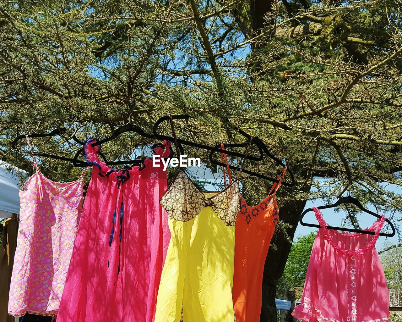 CLOSE-UP OF CLOTHES HANGING ON TREE