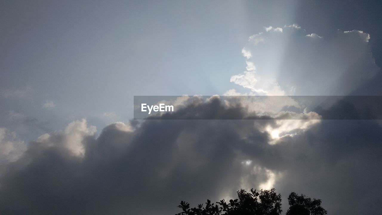 LOW ANGLE VIEW OF TREES AGAINST CLOUDY SKY