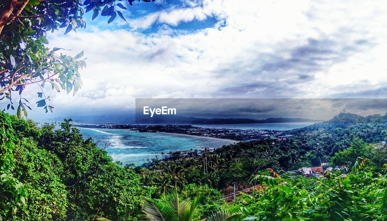 SCENIC VIEW OF SEA WITH TREES IN BACKGROUND