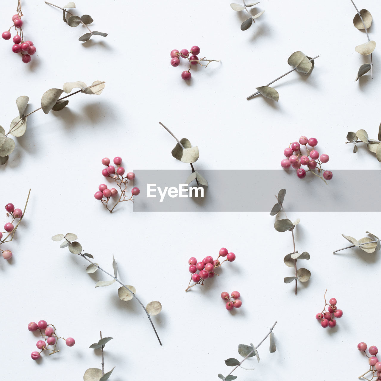 earring, large group of objects, petal, jewellery, fashion accessory, studio shot, bead, indoors, high angle view, no people, white background, flower, knolling - concept, art, still life, variation, abundance