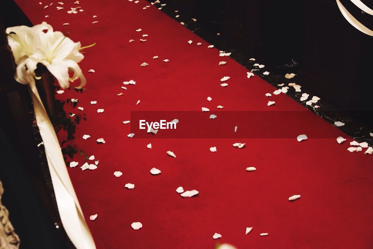 High angle view of white petals on red carpet