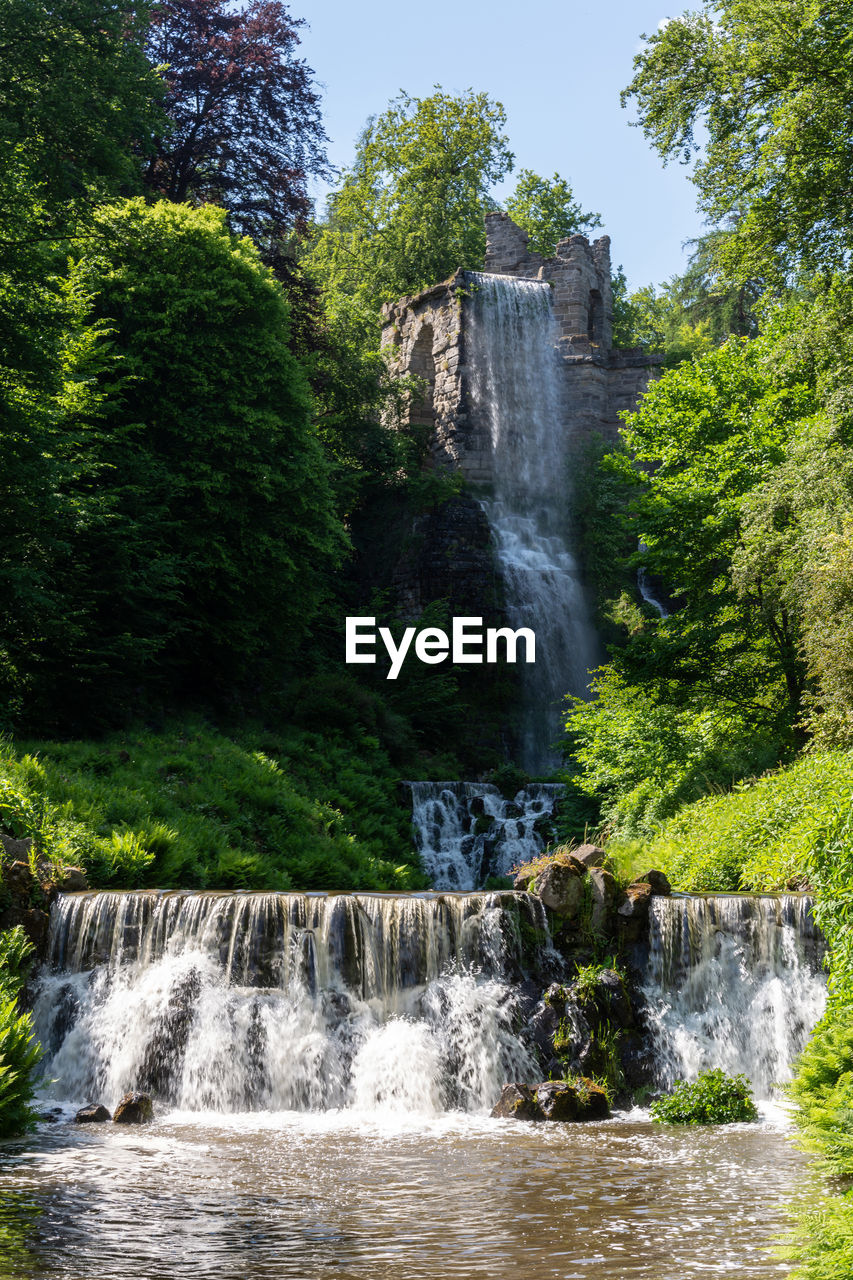 VIEW OF WATERFALL IN FOREST