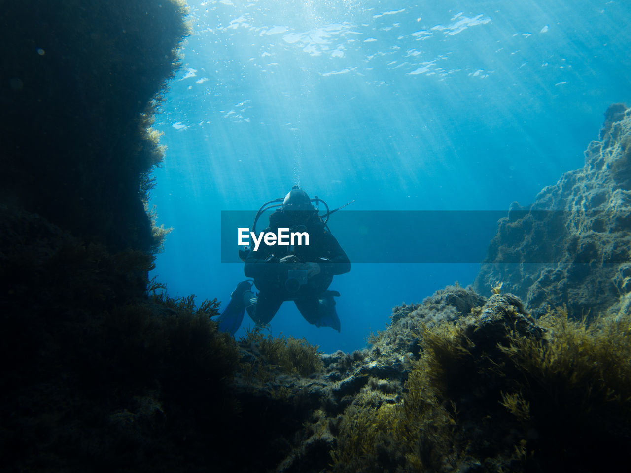 Low angle view of person scuba diving over coral in mediterranean sea