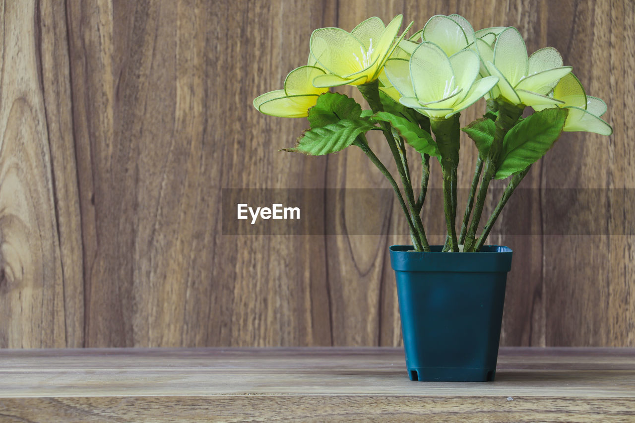 plant, green, wood, nature, flower, leaf, plant part, flowering plant, yellow, no people, table, growth, indoors, flowerpot, freshness, potted plant, vase, beauty in nature, floristry, wall - building feature, fragility, container, decoration