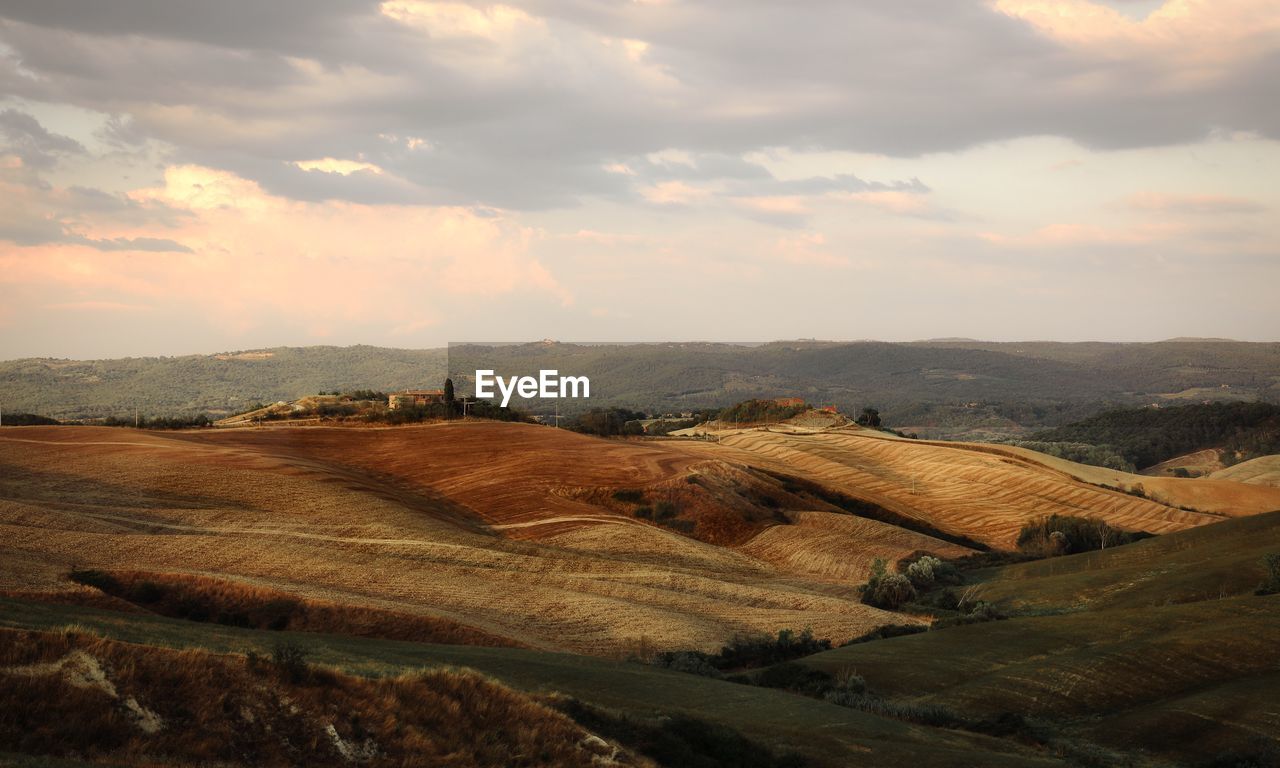 Scenic view of agricultural field against sky